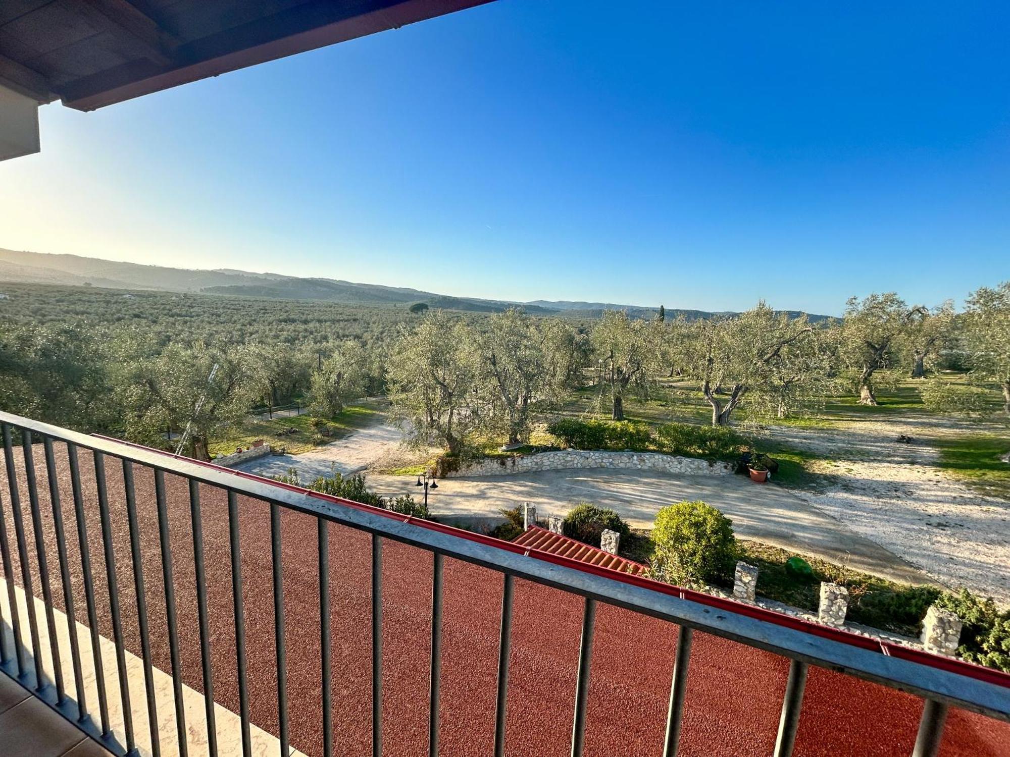 Valle Degli Ulivi B&B Βιέστε Εξωτερικό φωτογραφία