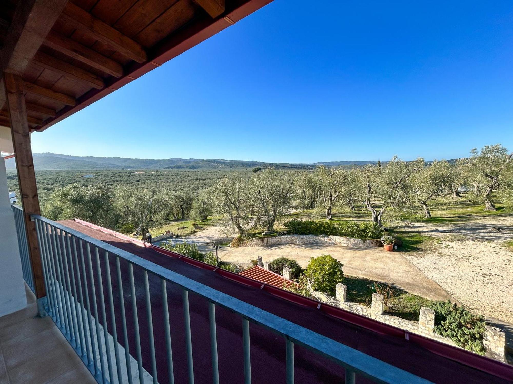 Valle Degli Ulivi B&B Βιέστε Εξωτερικό φωτογραφία