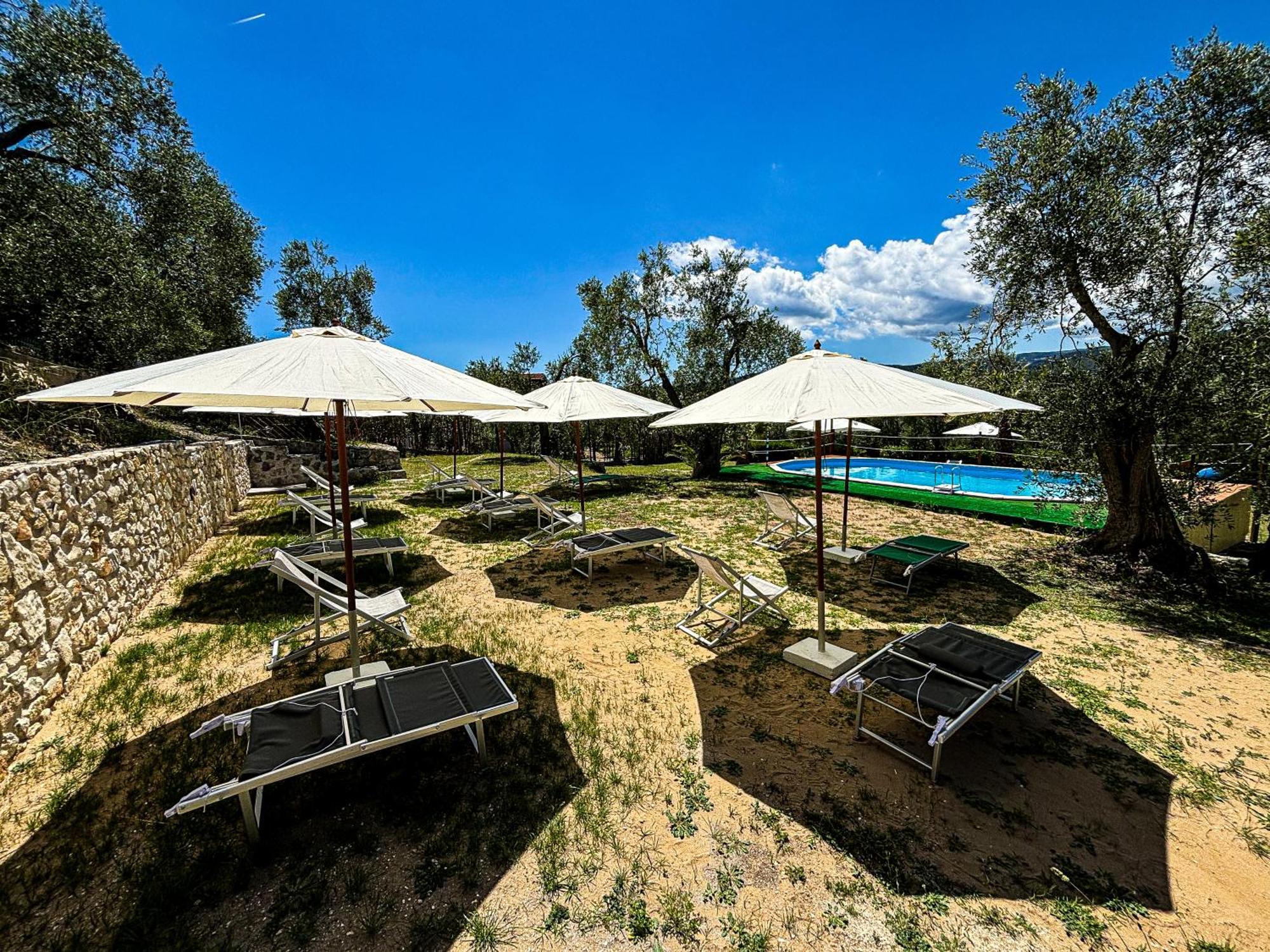 Valle Degli Ulivi B&B Βιέστε Εξωτερικό φωτογραφία